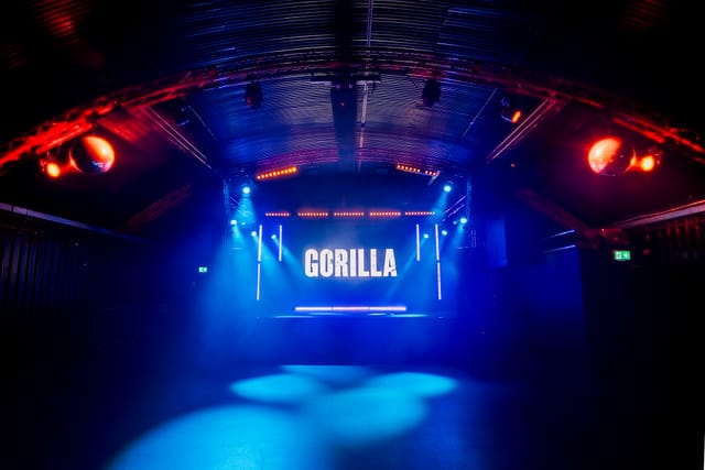 Gorilla - image 3