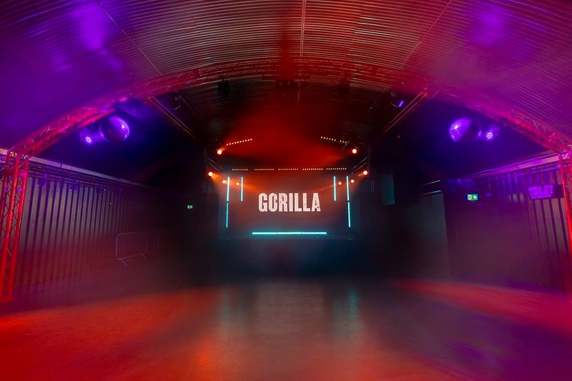 Gorilla - image 1