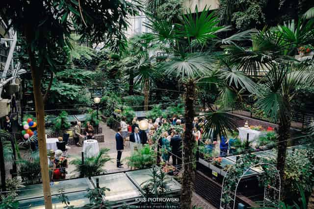 The Conservatory