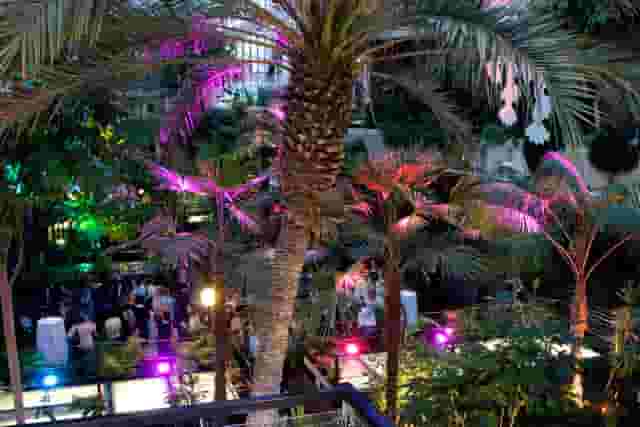 The Conservatory