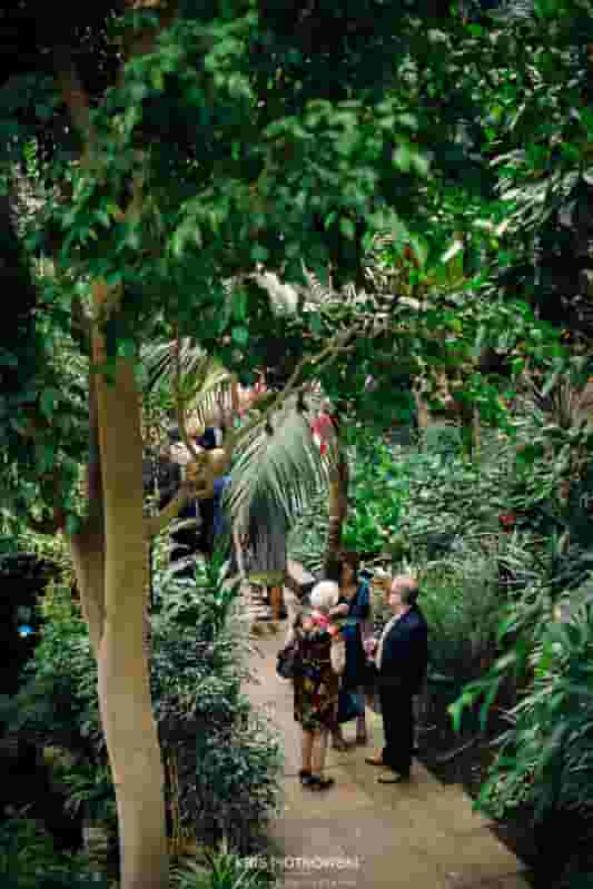 The Conservatory