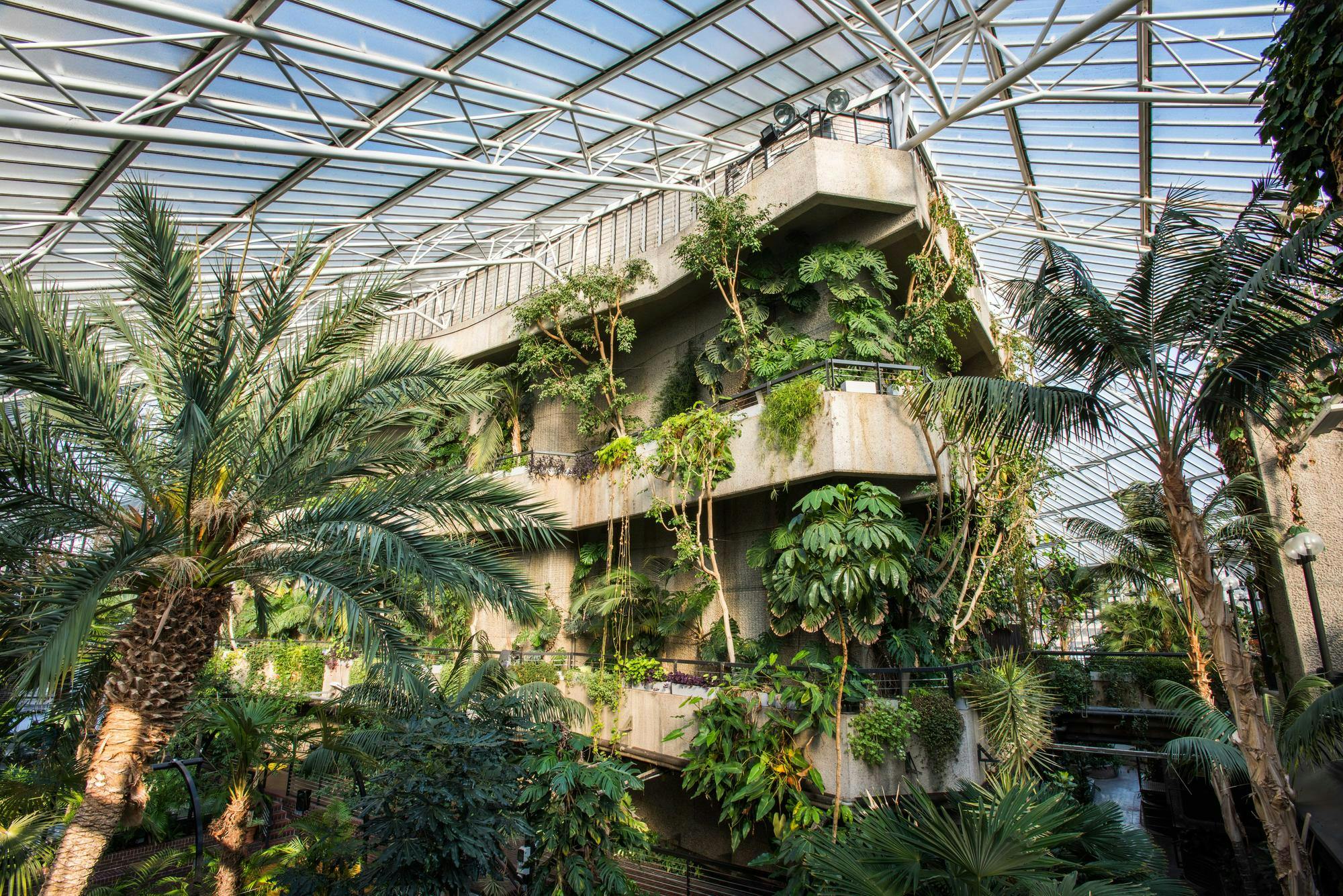 Vibrant indoor garden at Barbican Centre, ideal for corporate events and gatherings.