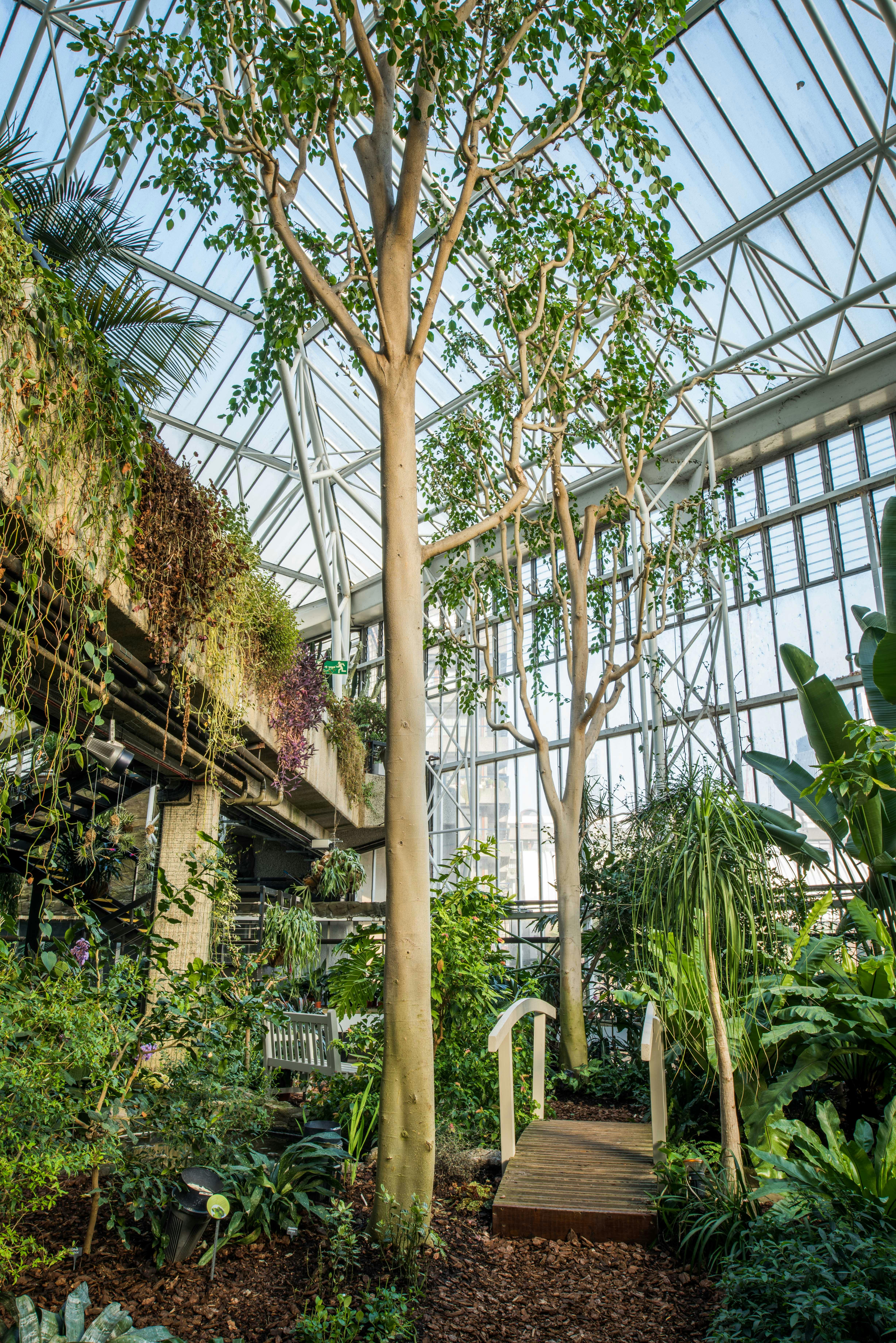 Vibrant indoor garden at Barbican Centre, perfect for unique events and gatherings.