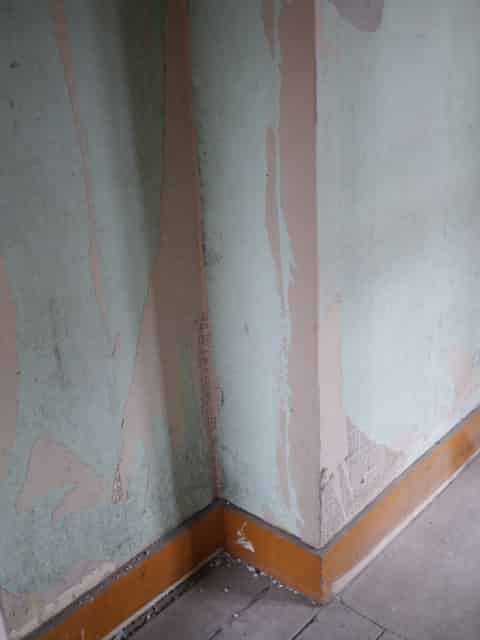 Safehouse 2