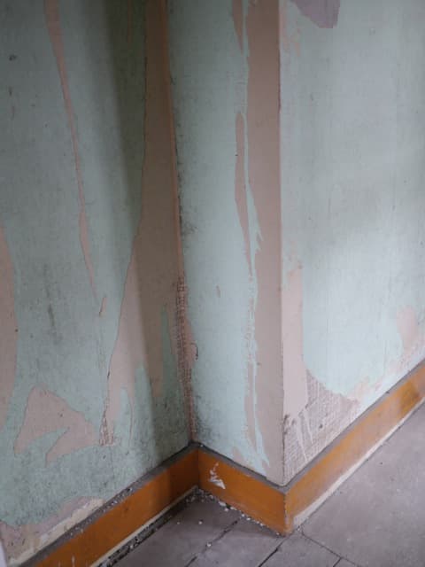Safehouse 2