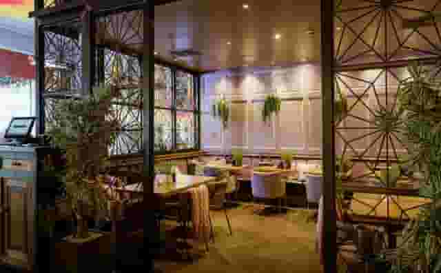 The Anthologist
