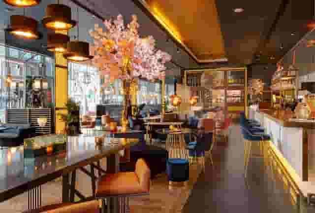 GA KingsX