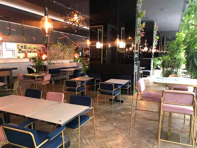 GA KingsX
