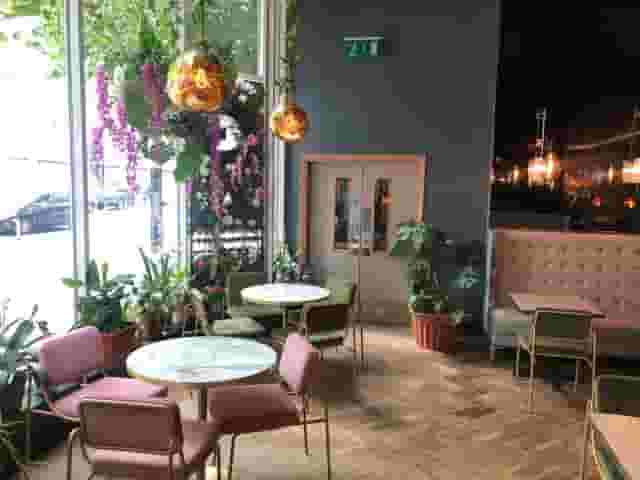 GA KingsX