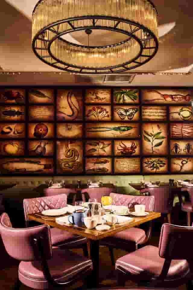 The Botanist