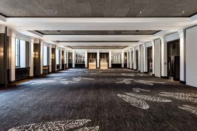 Halle Suite 