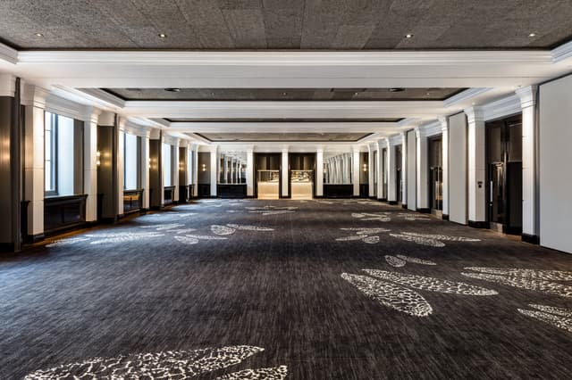 Halle Suite 