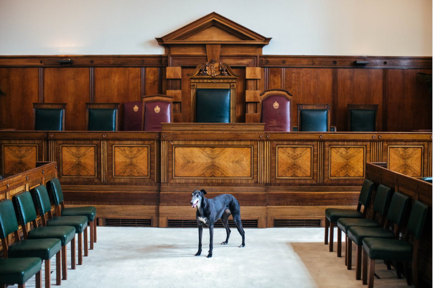 Council Chamber  - image