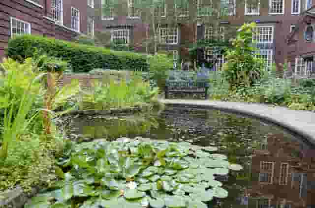 The Garden