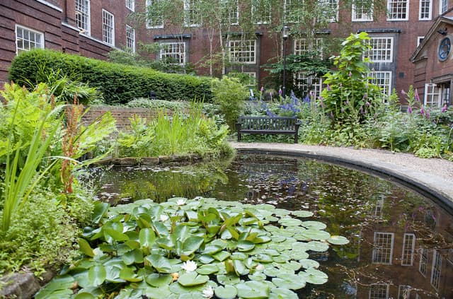 The Garden