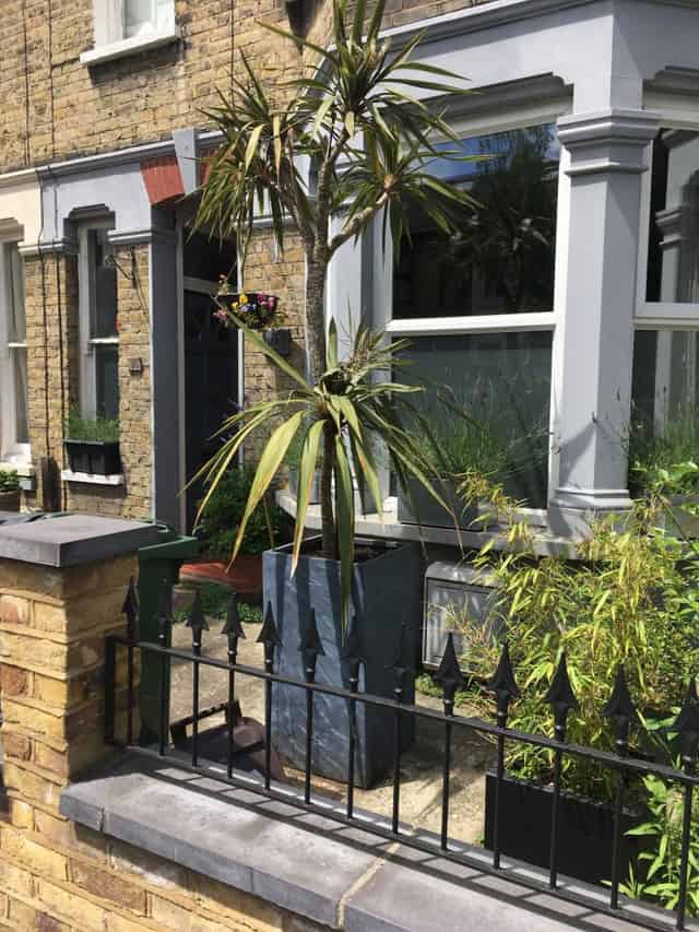 Front garden