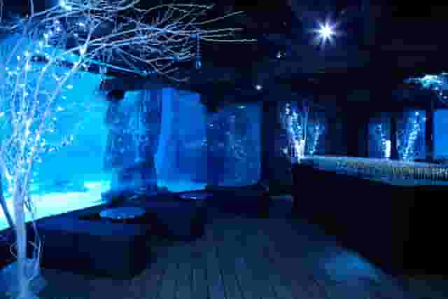 SEA LIFE London Aquarium