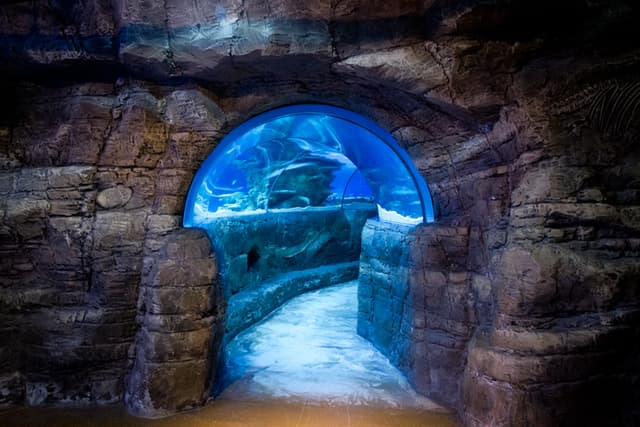 SEA LIFE London Aquarium
