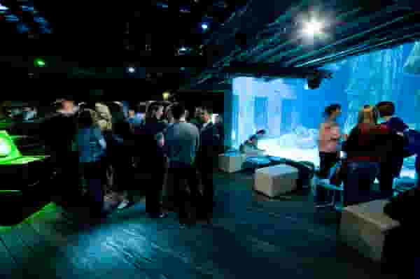 SEA LIFE London Aquarium