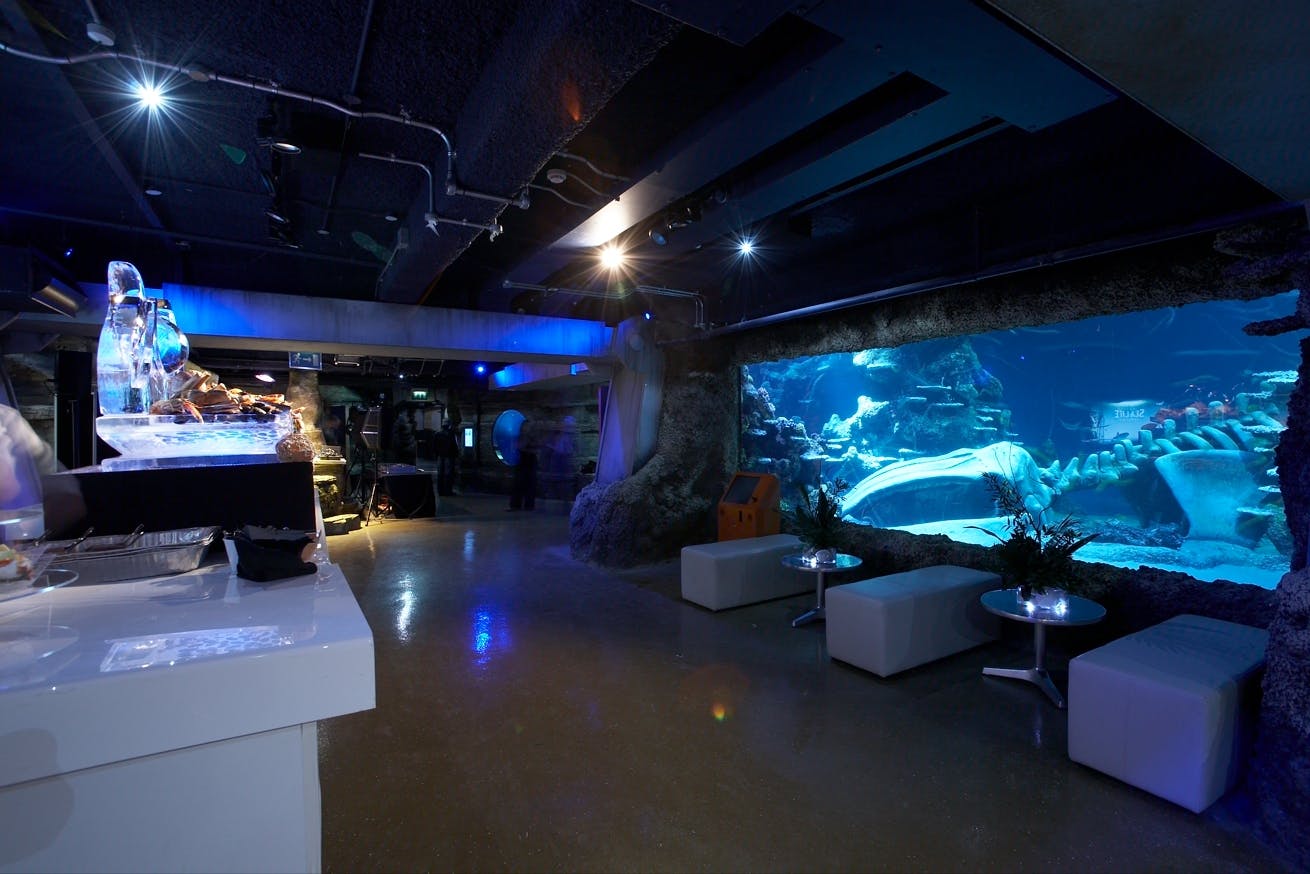 Underwater venue at SEA LIFE London Aquarium for unique events and cocktail receptions.