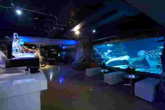 SEA LIFE London Aquarium