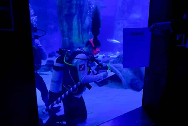 SEA LIFE London Aquarium