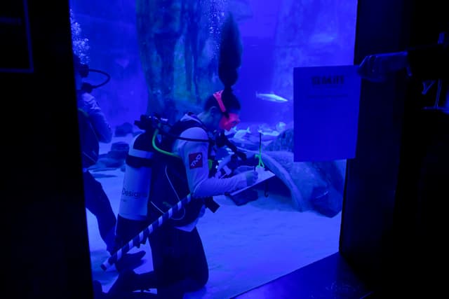 SEA LIFE London Aquarium