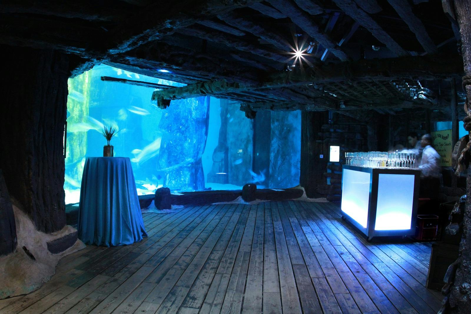 Whole Venue at SEA LIFE London Aquarium with underwater backdrop for events and receptions.