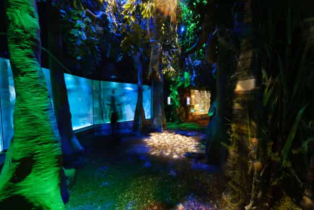 SEA LIFE London Aquarium
