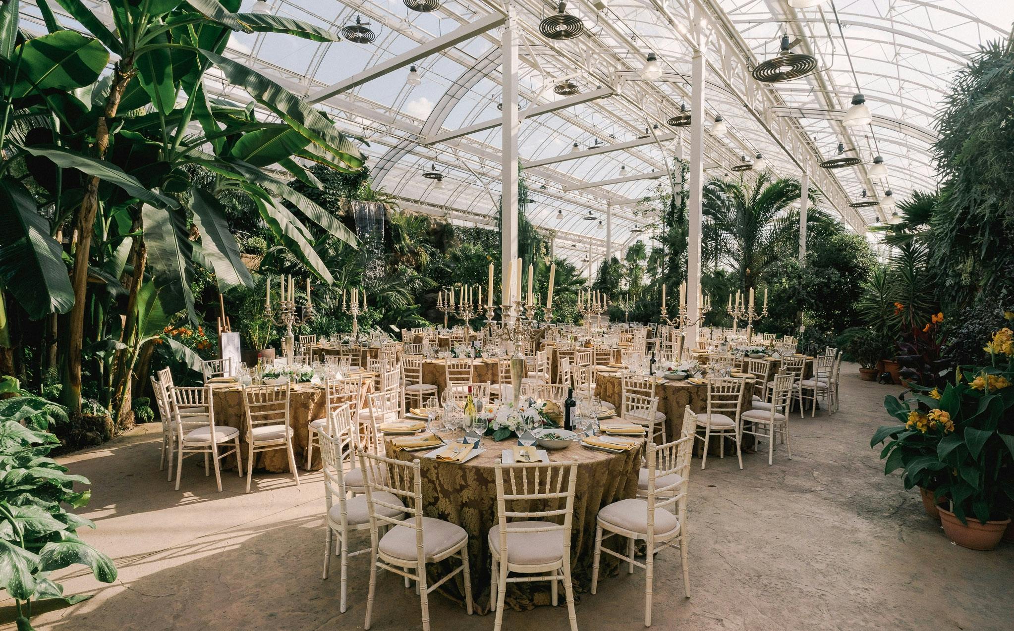 Elegant greenhouse event space at RHS Garden Wisley, ideal for weddings and gatherings.