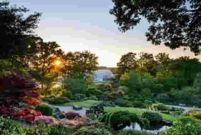 RHS Garden Wisley