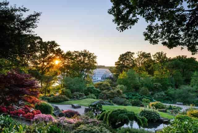 Glasshouse at RHS Garden Wisley, vibrant flowers, ideal for weddings and events.