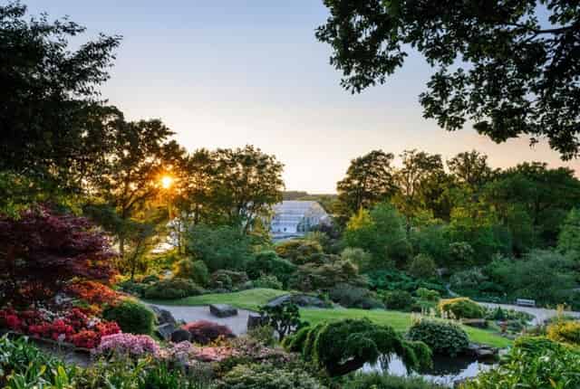 RHS Garden Wisley
