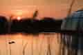Sunset over water at Glasshouse, RHS Garden Wisley, ideal for outdoor events and receptions.