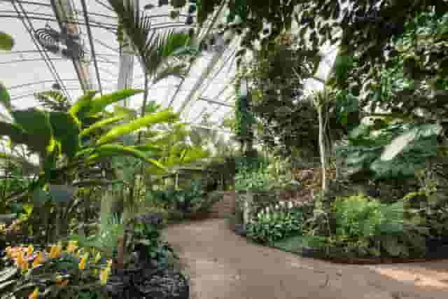 Glasshouse