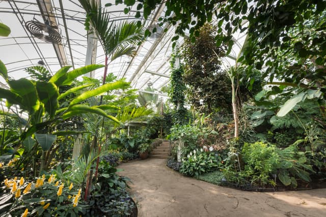 Glasshouse