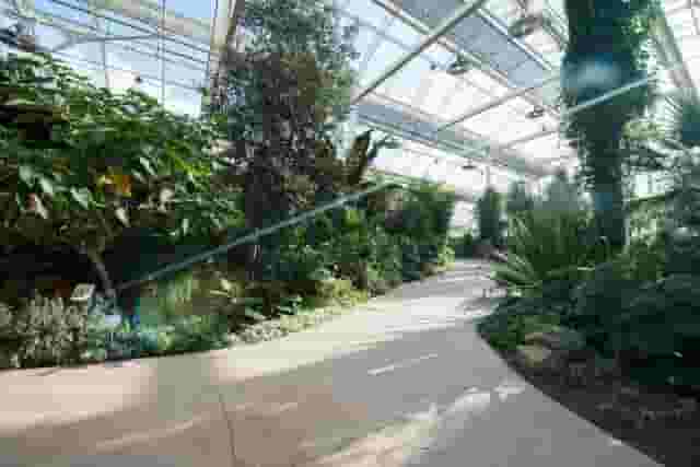 Glasshouse
