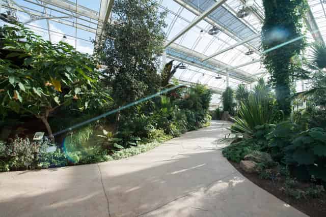 Glasshouse