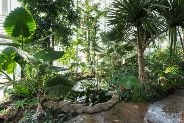Glasshouse