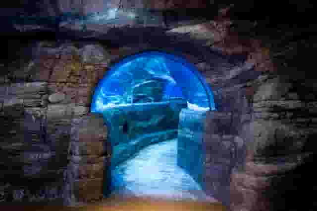 SEA LIFE London Aquarium