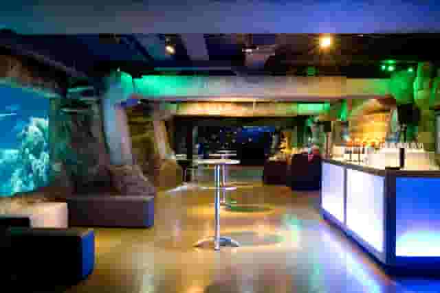 SEA LIFE London Aquarium