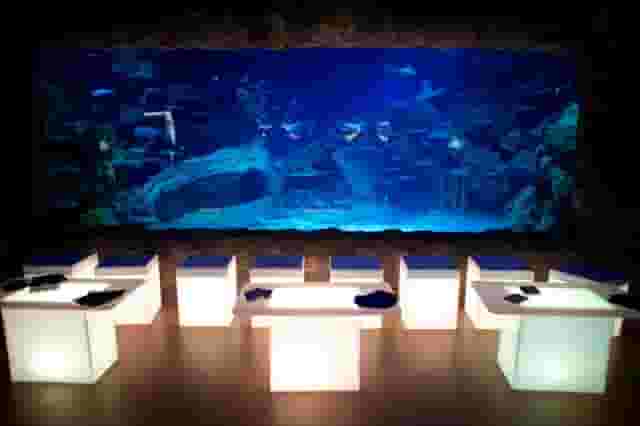 SEA LIFE London Aquarium