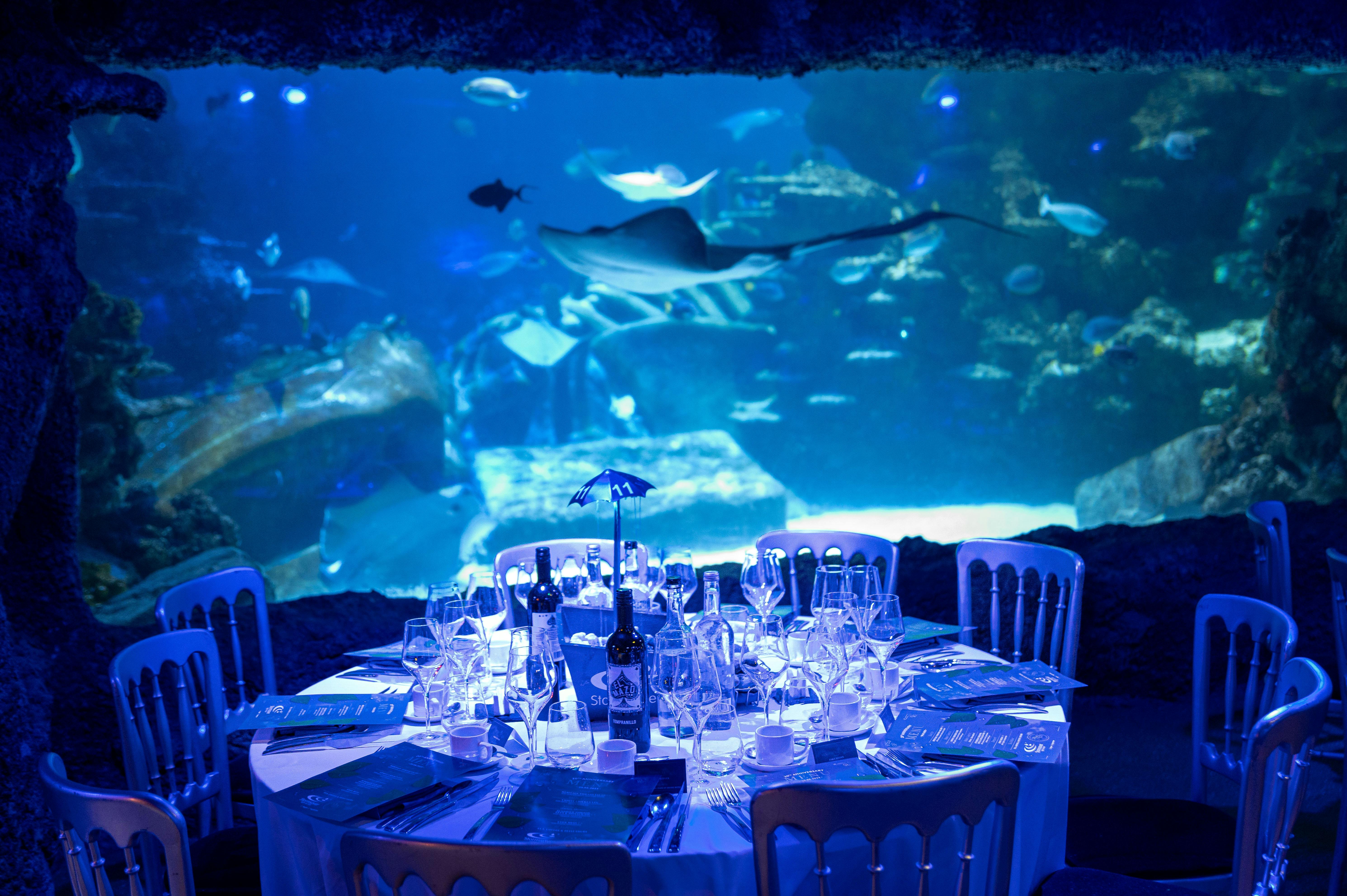 Underwater dining setup at SEA LIFE London Aquarium for corporate events and weddings.