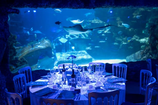 SEA LIFE London Aquarium