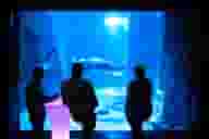 Party Venues
