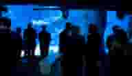 Party Venues
