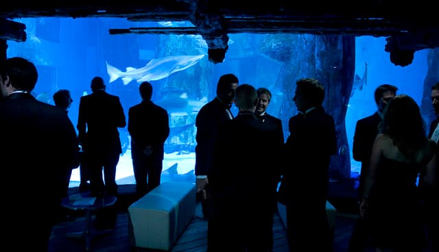 SEA LIFE London Aquarium
