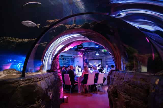 SEA LIFE London Aquarium