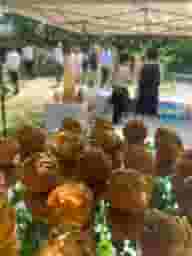 Summer Parties