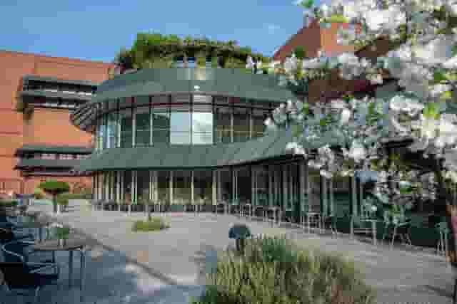 Terrace Restaurant and Terrace